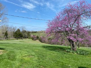 317 Short Road, Salvisa, KY 40372