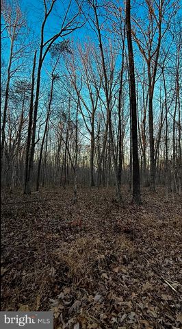 ROBERTS LANE LN, Rixeyville, VA 22737