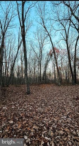 ROBERTS LANE LN, Rixeyville, VA 22737