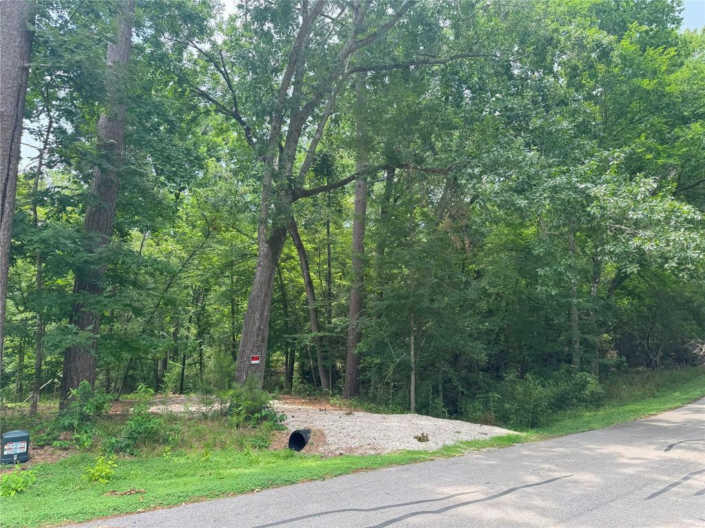 77 S Pine Harbour Drive, Coldspring, TX 77331