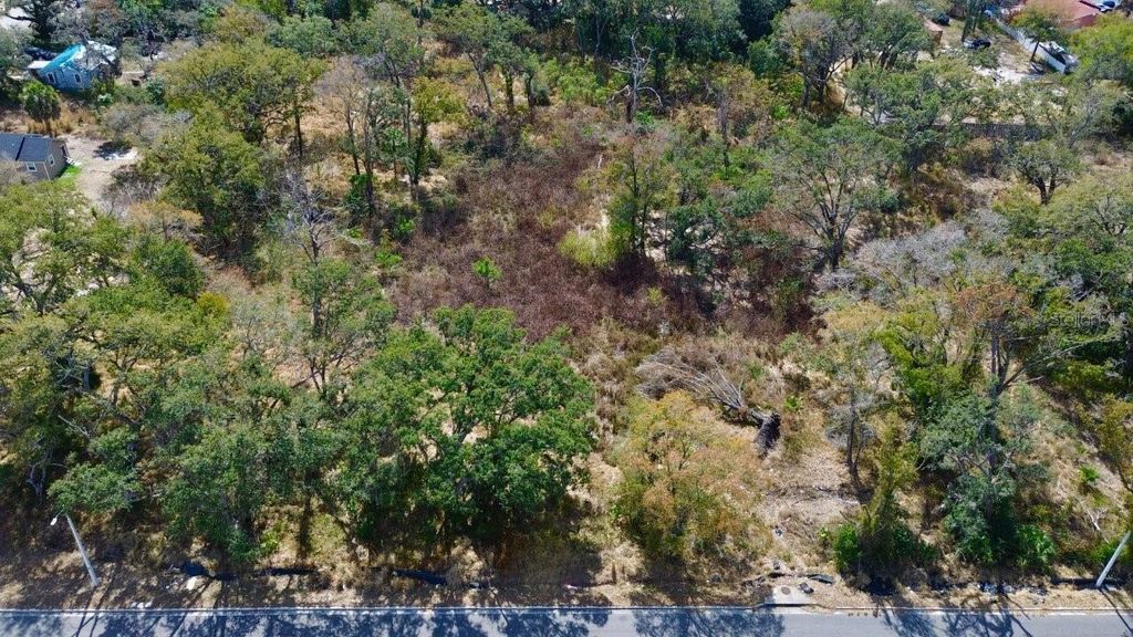 0 DIANA STREET, Tampa, FL 33610