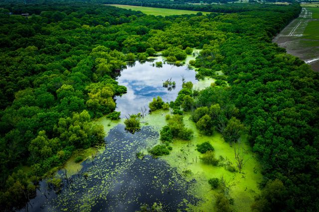 775 Ten Mile, Ferris, TX 75125