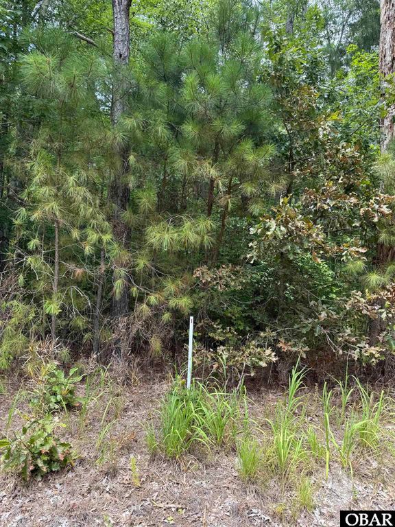 TBD Boat Ramp Road Lot 1, New Hope, NC 27944