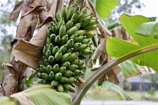 12 35th AVE NW, Naples, FL 34120