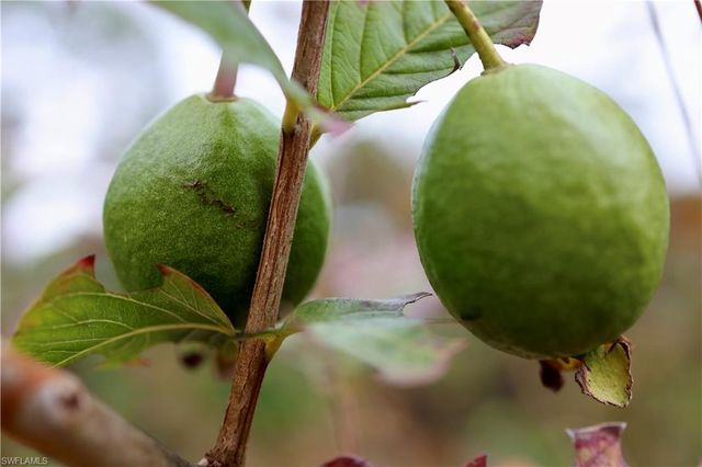 12 35th AVE NW, Naples, FL 34120