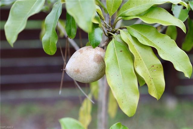 12 35th AVE NW, Naples, FL 34120