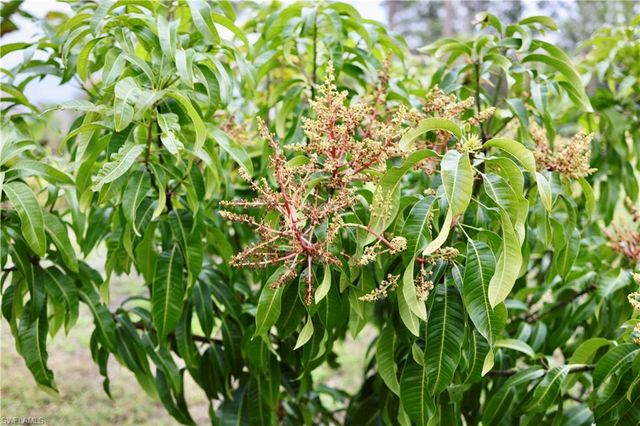 12 35th AVE NW, Naples, FL 34120