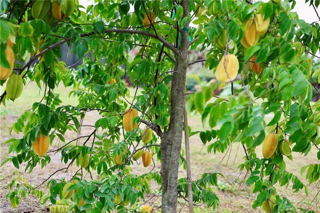 12 35th AVE NW, Naples, FL 34120