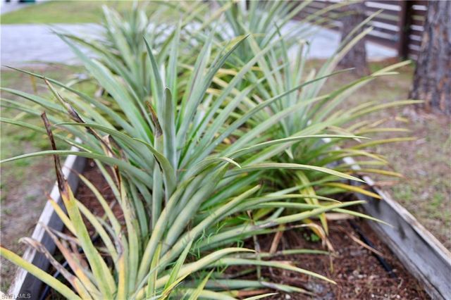 12 35th AVE NW, Naples, FL 34120