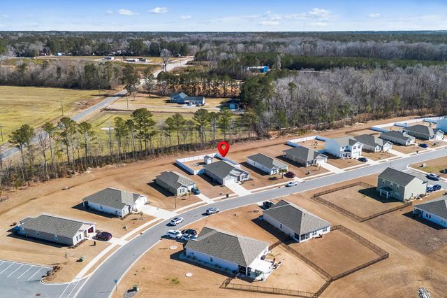 240 Country Grove Way, Galivants Ferry, SC 29544