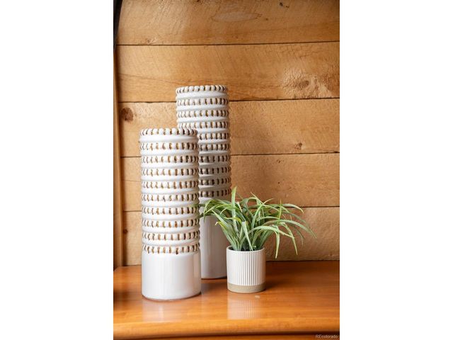 28700 County Road 304, Buena Vista, CO 81211