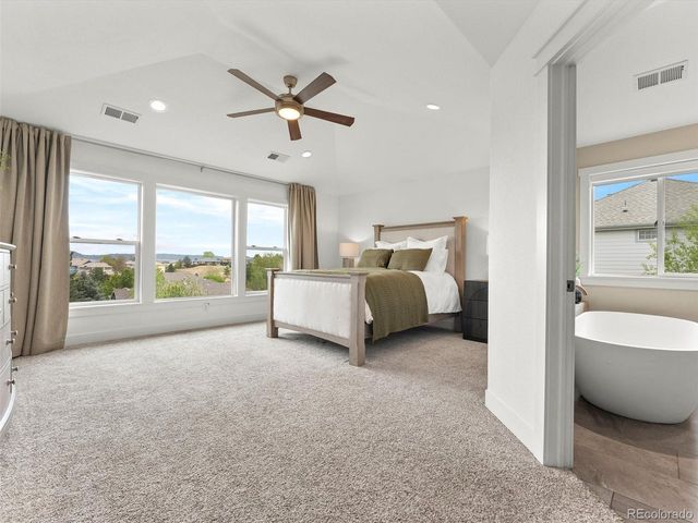 3326 Coyote Hills Way, Castle Rock, CO 80109