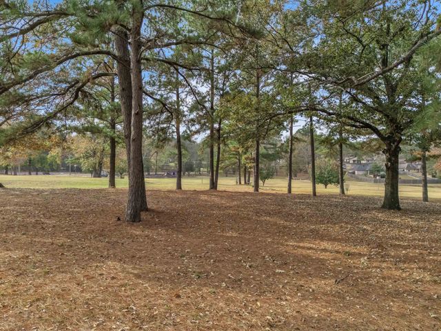 105 Willow Brook Dr, White Oak, TX 75693