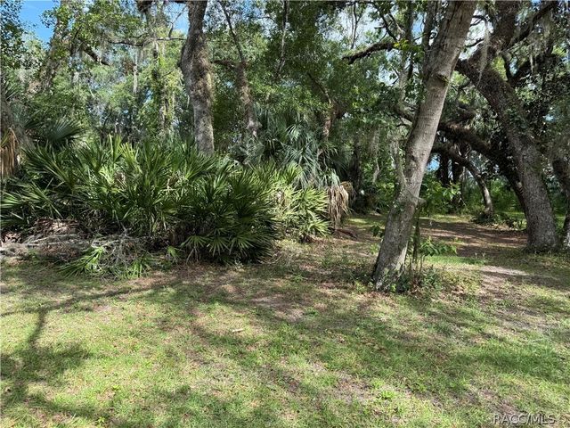 5191 E Parsons Point Road, Hernando, FL 34442