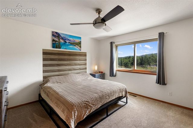 290 Taopi Circle, Woodland Park, CO 80863