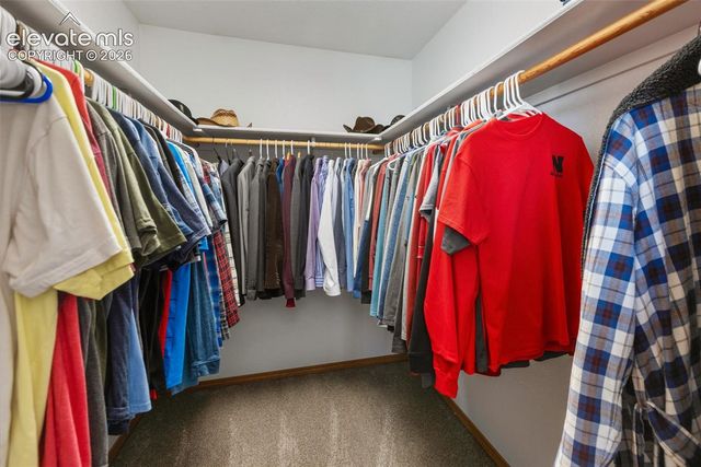 290 Taopi Circle, Woodland Park, CO 80863