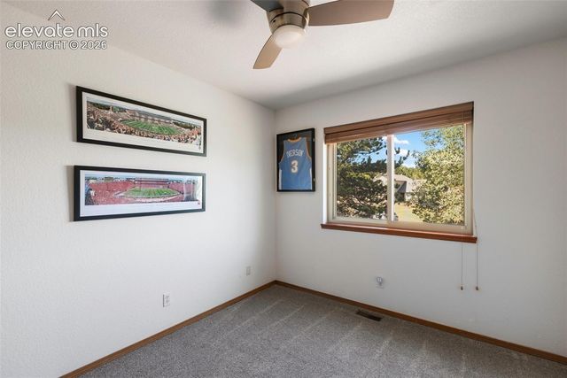 290 Taopi Circle, Woodland Park, CO 80863
