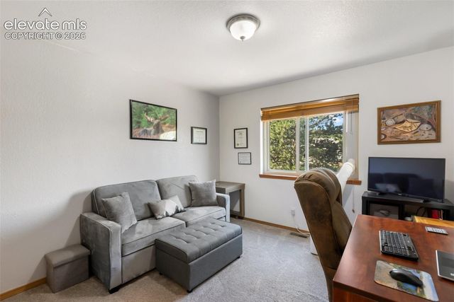 290 Taopi Circle, Woodland Park, CO 80863