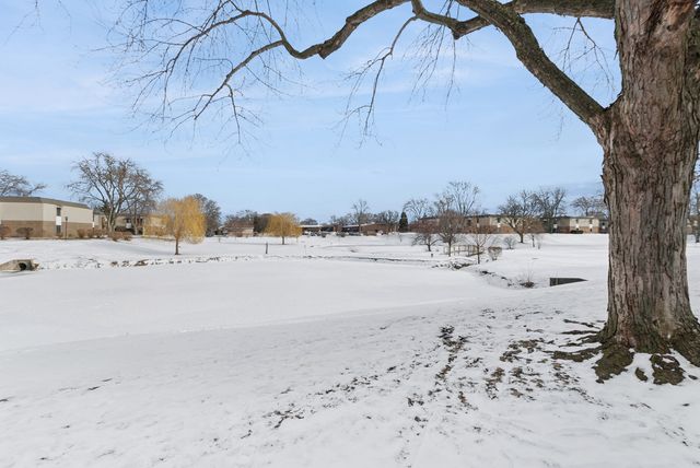 7333 Grand Avenue 204, Downers Grove, IL 60516