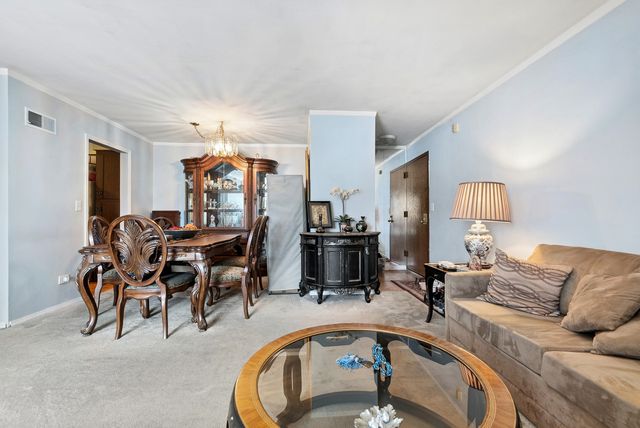 7333 Grand Avenue 204, Downers Grove, IL 60516