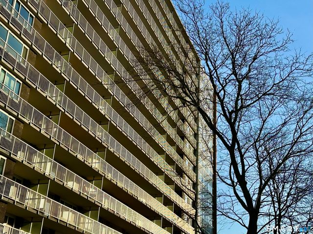 100 York Street 16E, New Haven, CT 06511