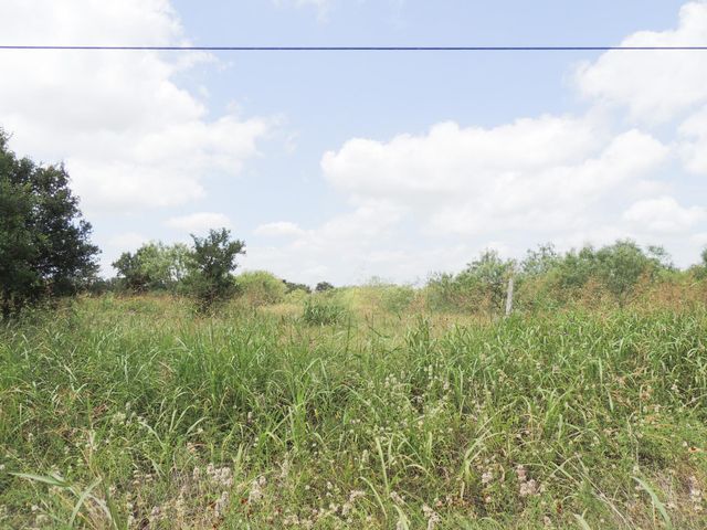 265 Linam LN, Cedar Creek, TX 78612