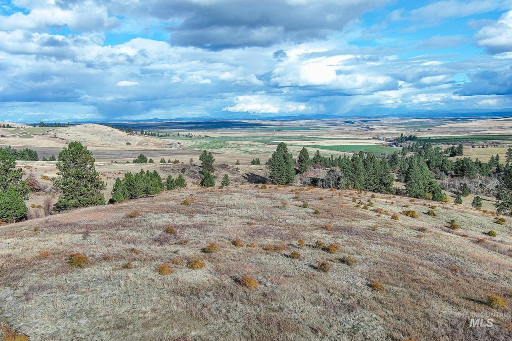 TBD Over Yonder Road, Cottonwood, ID 83522