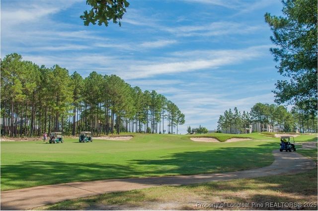 43 Skipping Pines Court, Spring Lake, NC 28390