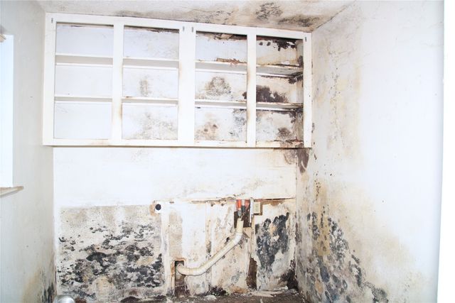 611 Cain Street, Lake Dallas, TX 75065