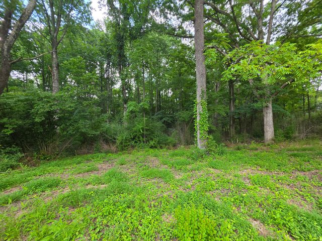 109 Rankin Road # 115, Gruetli Laager, TN 37339