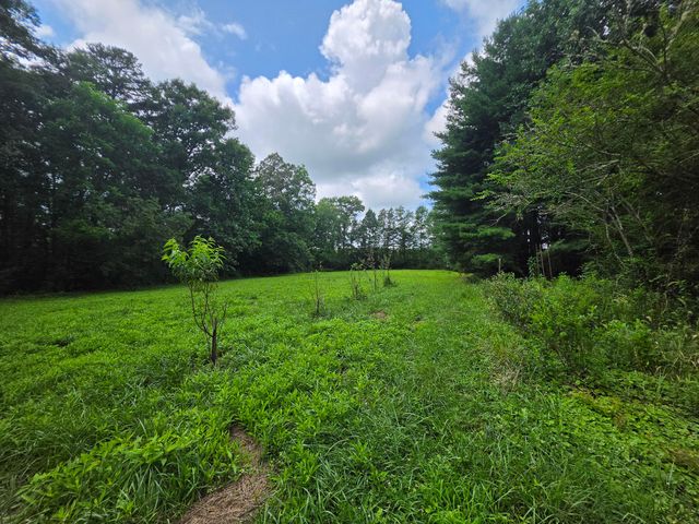 109 Rankin Road # 115, Gruetli Laager, TN 37339