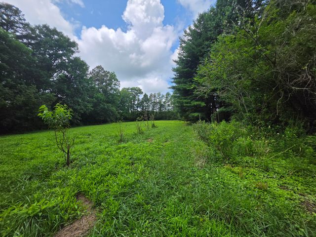 109 Rankin Road # 115, Gruetli Laager, TN 37339