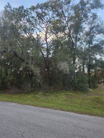 4029 E WALKER STREET, Inverness, FL 34453