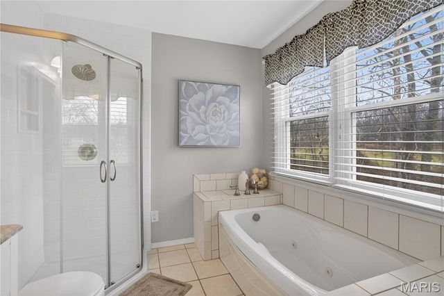 15489 Long Castle Forest Court, Chesterfield, MO 63017