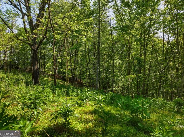 LOT 2 Summit Drive, Dahlonega, GA 30533