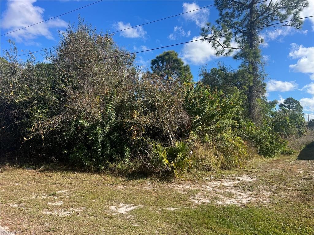 2904 Ida AVE N, LEHIGH ACRES, FL 33971 — photo 2