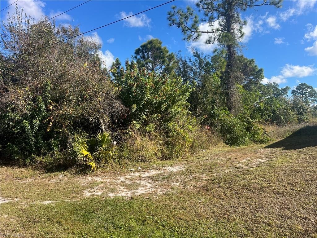 2904 Ida AVE N, LEHIGH ACRES, FL 33971 — photo 3