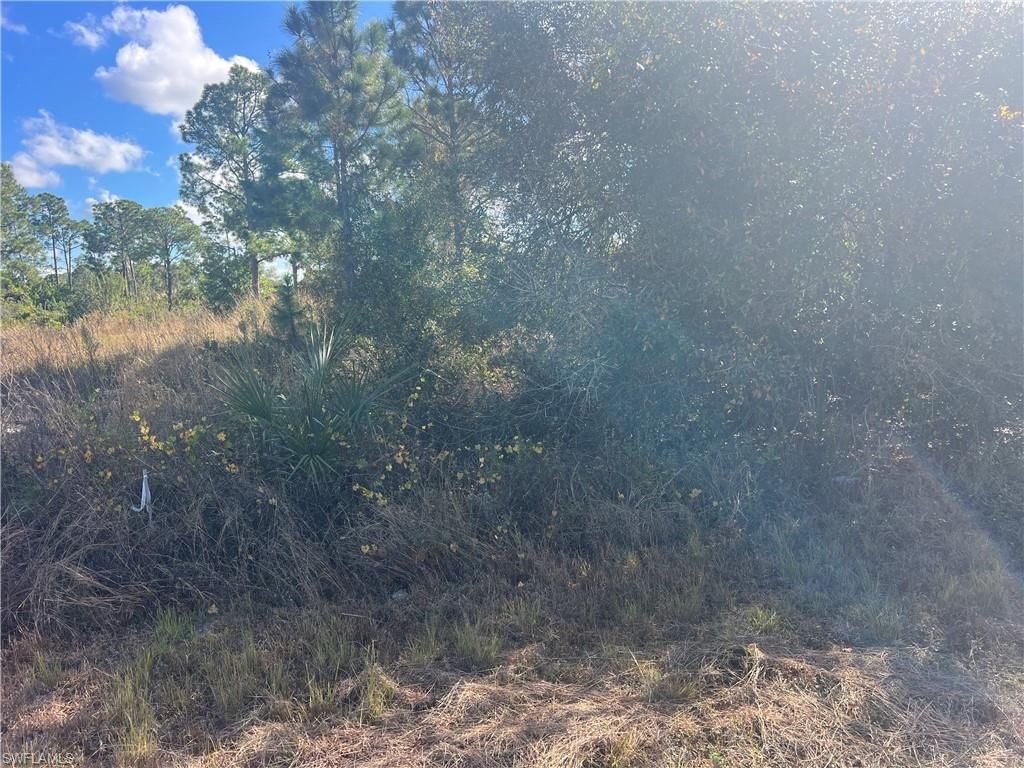 2904 Ida AVE N, LEHIGH ACRES, FL 33971 — photo 4