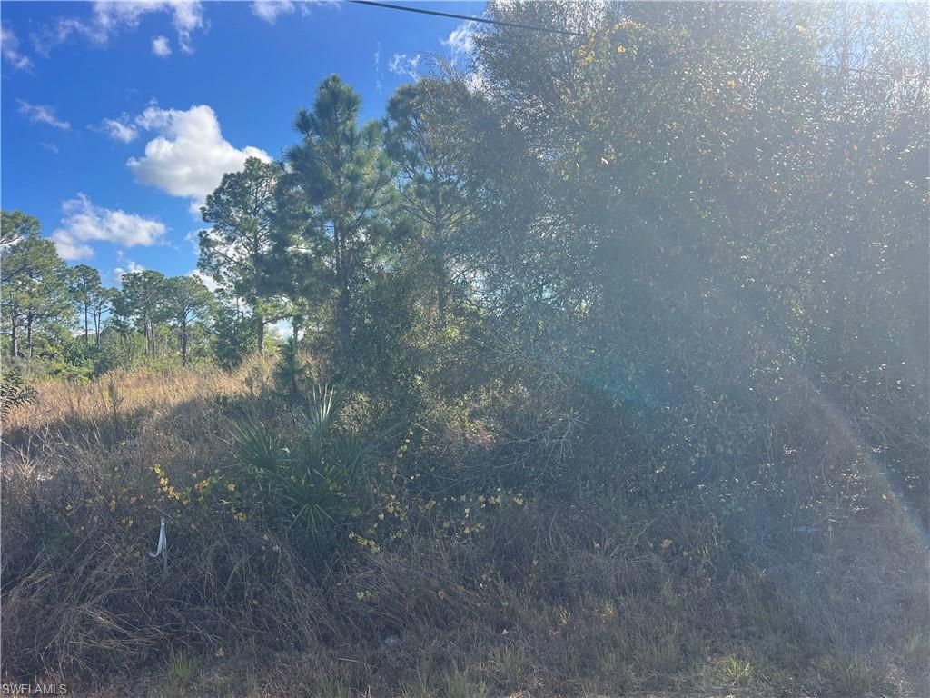 2904 Ida AVE N, LEHIGH ACRES, FL 33971 — photo 5