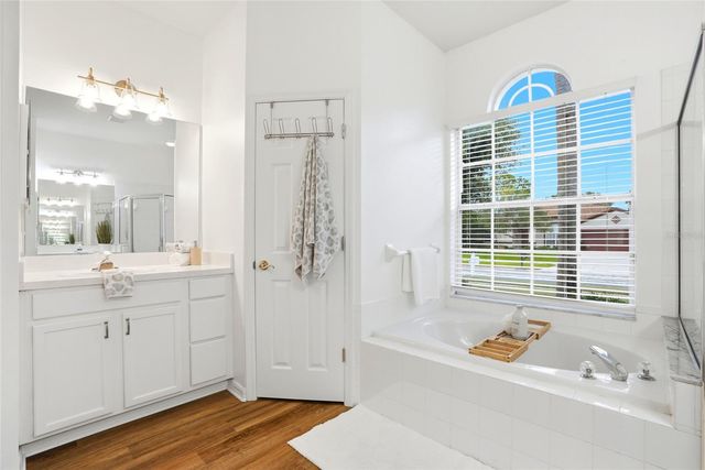 19930 WYNDMILL CIRCLE, Odessa, FL 33556