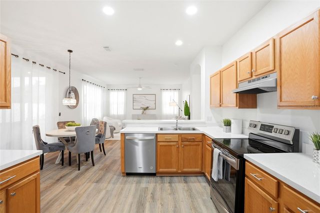 19930 WYNDMILL CIRCLE, Odessa, FL 33556
