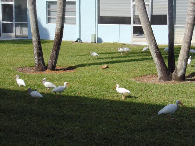 9788 Marina Boulevard 313, Boca Raton, FL 33428
