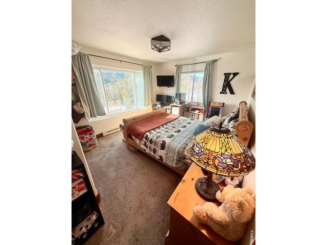 3689 ottawa Way, Red Feather Lakes, CO 80545