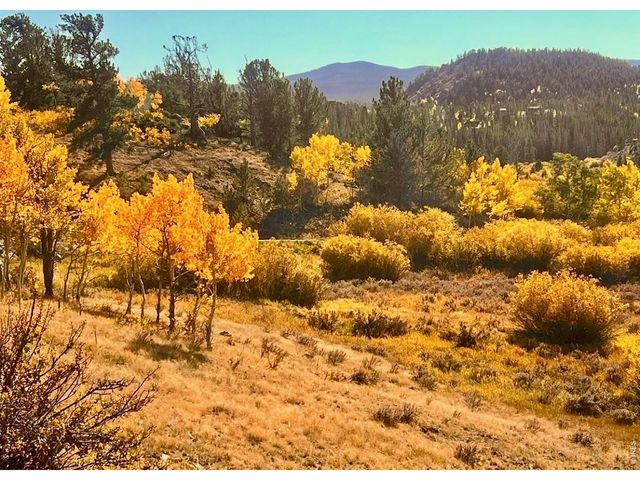 3689 ottawa Way, Red Feather Lakes, CO 80545