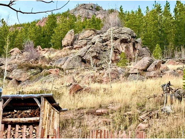 3689 ottawa Way, Red Feather Lakes, CO 80545
