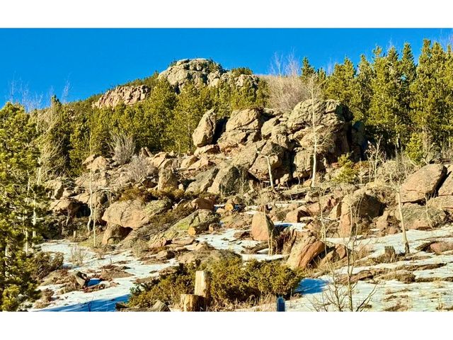 3689 ottawa Way, Red Feather Lakes, CO 80545