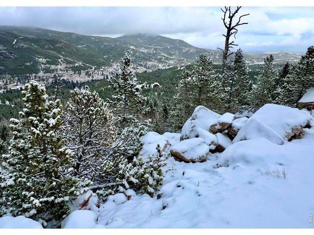 3689 ottawa Way, Red Feather Lakes, CO 80545