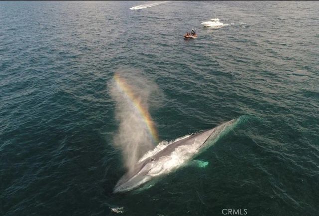 24839 Nueva Vista, Laguna Niguel, CA 92677