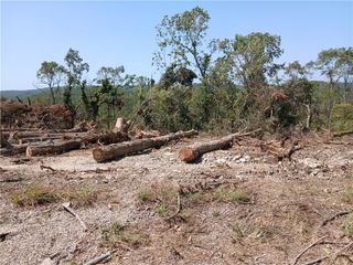 TBD Scenic Drive, Briarcliff, AR 72653