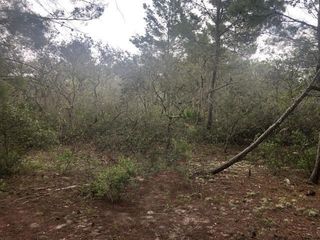 0 Alturas Babson Park Cutoff Road, Lake Wales, FL 33859